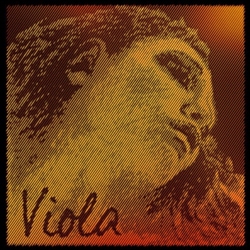 Evah Pirazzi Gold, Viola D String
